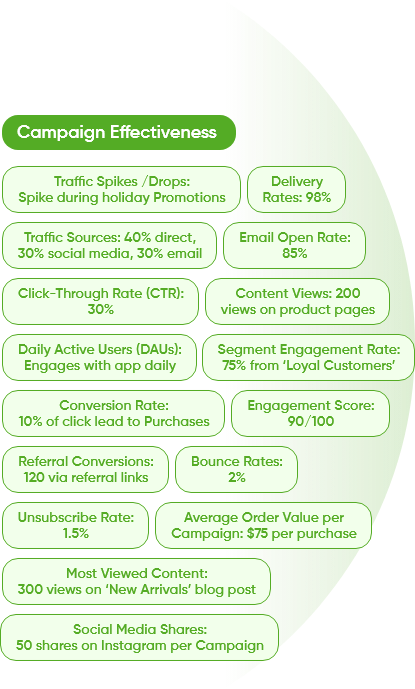Holistic View 1